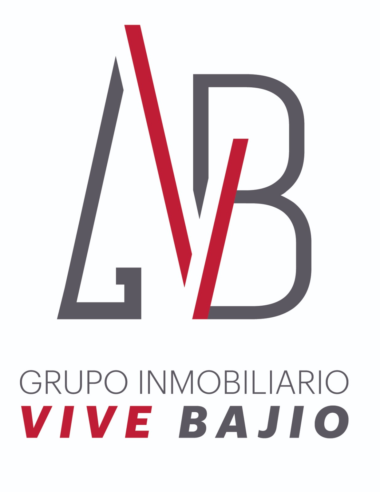Grupo Inmobiliario Vive Bajío
